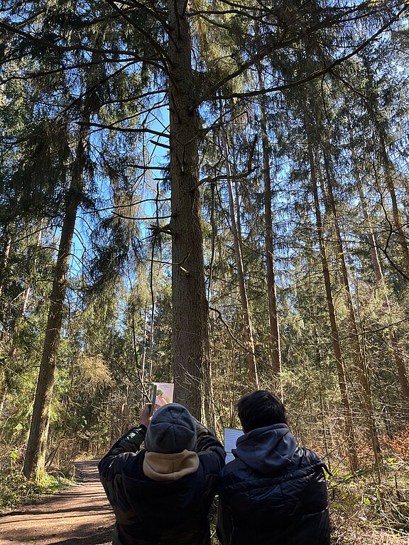Walddetektive_Bild_1.jpeg  